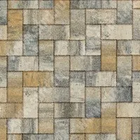 Тротуарная плитка Прямоугольник практик 60 (фаска 1,5мм) Золотистый камень (Stein Chrome) верхний прокрас на белом / сером цементе основа - серый цемент 200*100*60мм Steingot