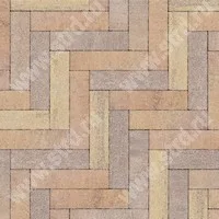Тротуарная плитка Ригель 2,0 Color Mix Прайд верхний прокрас на белом / сером цементе основа - серый цемент 320*80*60мм BRAER